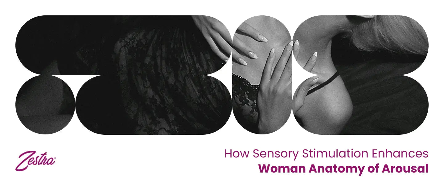 How Sensory Stimulation Enhances Woman Anatomy of Arousal